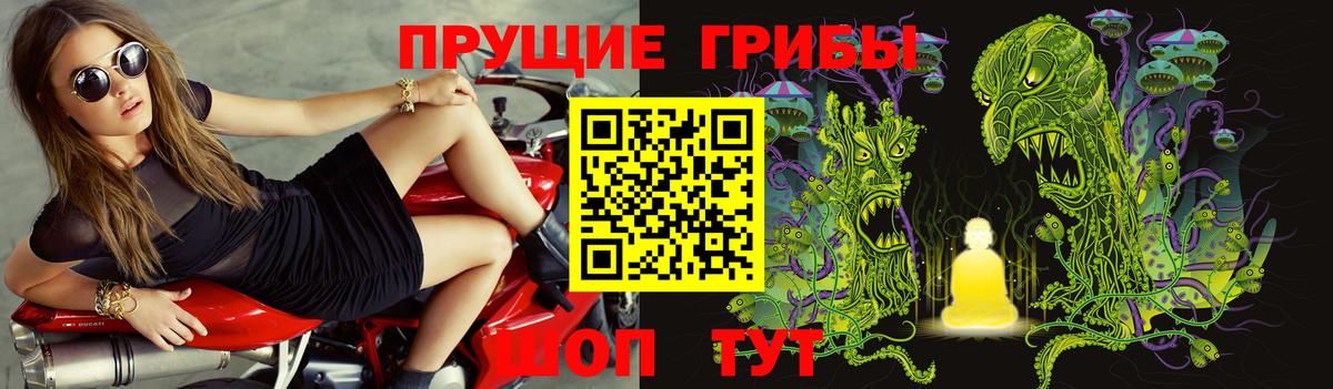 Электрогорск  купить  сайты  Галлюциногенные грибы Cubensis  Вход с VPN  Галлюциногенные грибы Cubensis 
