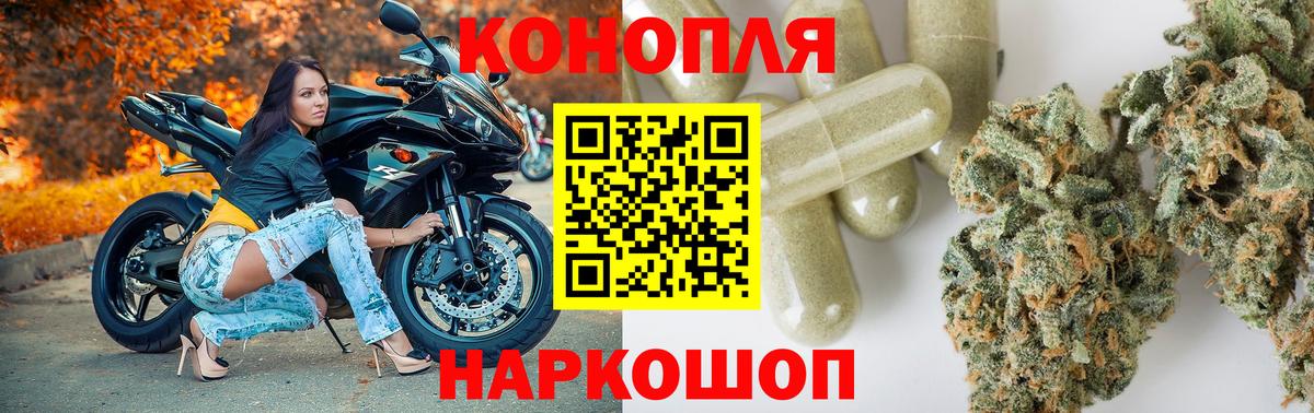 Канабис семена Электрогорск